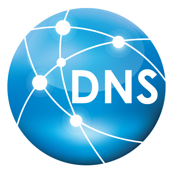 IP , DNS , NS, MX, CNAME, AA